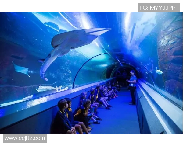 布里斯班与阳光海岸的精彩对决展现澳洲足球的魅力与激情